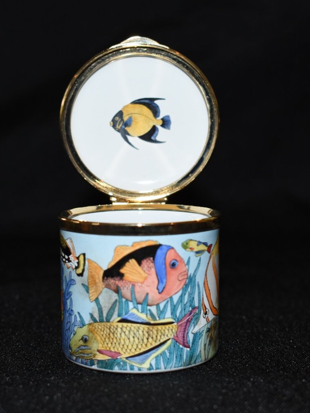 Staffordshire Enamels Tropical Fish 32/567 Hand painted enamel on copper